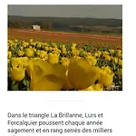 Le Jardin De Nigelle , Bas De En Provence *