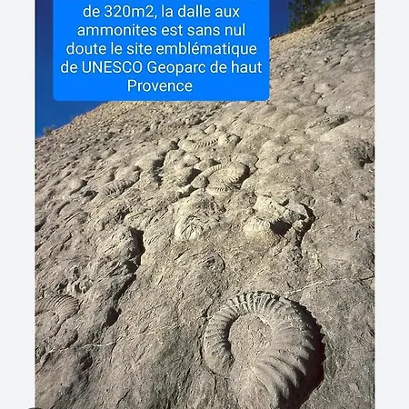 Appartement Le Jardin De Nigelle , Bas De En Provence