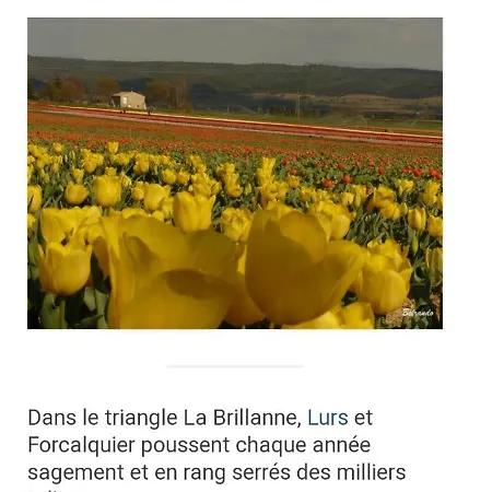 Le Jardin De Nigelle , Bas De En Provence *