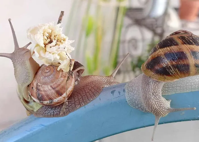 Le Jardin De Nigelle , Bas De En Provence Appartamento Mallemoisson